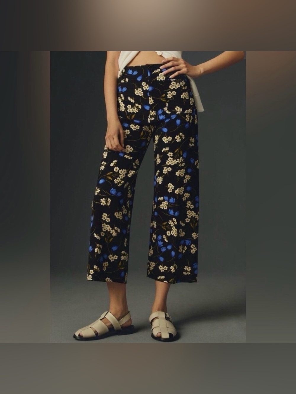 Anthropologie Maeve The Colette Wide Leg Floral Ponte Cropped Pants 24 Petite